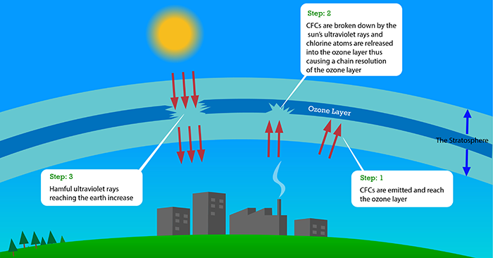Diagram showing ozone layer depletion caused by CFCs, where UV radiation breaks them down, destroys ozone, and allows more ultraviolet rays to reach Earth.